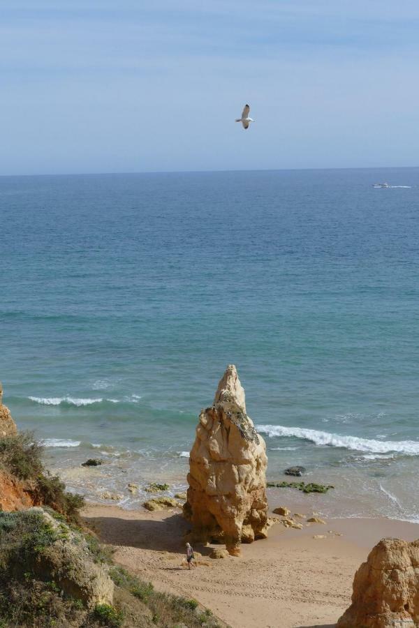 Praia Da Rocha, Algarve Sunny Apartment Portimao Ngoại thất bức ảnh